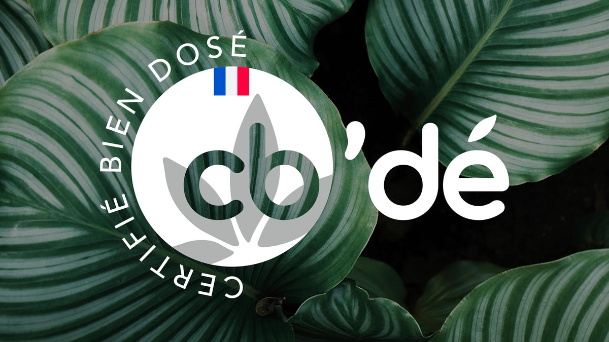 Nos Valeurs, notre marque présentée... – cb'dé x Donuts